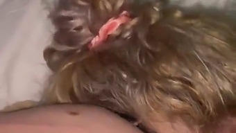 Xin Lỗi Em Yêu, Cho Phép Anh Làm Em Sướng Bằng Miệng